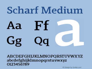 Scharf-Medium Version 1.001 | wf-rip DC20190310图片样张