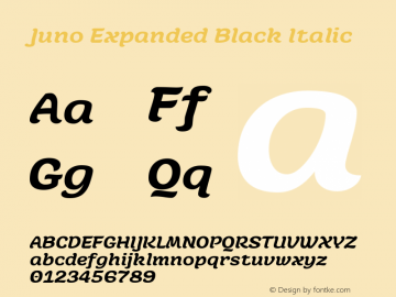 Juno Expanded Black Italic Version 1.000;PS 001.000;hotconv 1.0.88;makeotf.lib2.5.64775图片样张