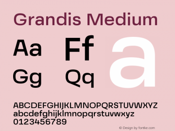 Grandis-Medium Version 1.000 | wf-rip DC20190510图片样张