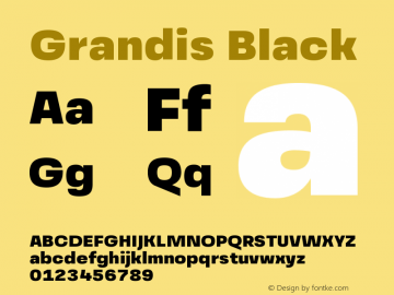 Grandis-Black Version 1.000 | wf-rip DC20190510图片样张