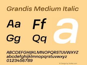 Grandis-MediumItalic Version 1.000 | wf-rip DC20190510图片样张