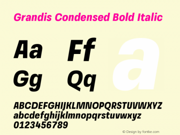 GrandisCondensed-BoldItalic Version 1.000 | wf-rip DC20190510图片样张