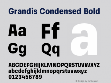 GrandisCondensed-Bold Version 1.000 | wf-rip DC20190510图片样张