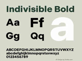 Indivisible-Bold Version 1.000 | wf-rip DC20190520图片样张