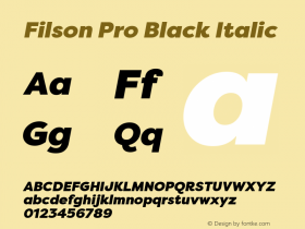 FilsonPro-BlackItalic 1.000图片样张