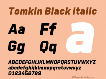 Tomkin-BlackItalic Version 1.000 | wf-rip DC20190505图片样张