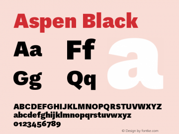 Aspen-Black Version 1.002图片样张