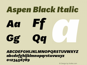 Aspen-BlackItalic Version 1.002图片样张