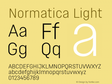 Normatica-Light Version 1.001 | wf-rip DC20161220图片样张