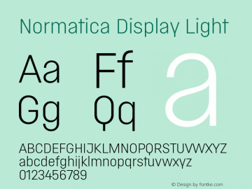 NormaticaDisplay-Light Version 1.001 | wf-rip DC20161220图片样张