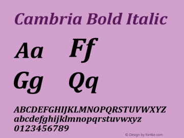Cambria Bold Italic Version 0.90图片样张