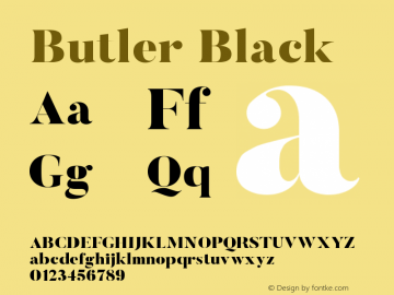 Butler-Black 1.000图片样张