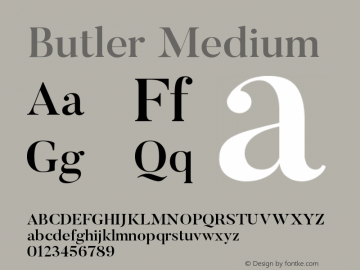 Butler-Medium 1.000图片样张