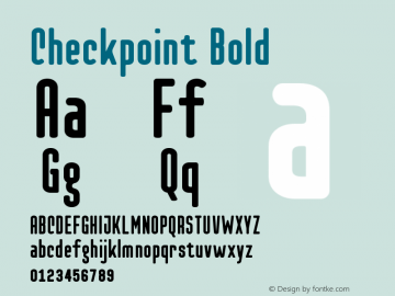 Checkpoint-Bold Version 1.100图片样张
