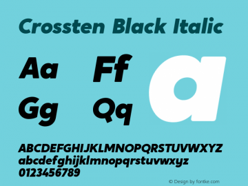 Crossten-BlackItalic Version 1.000;hotconv 1.0.109;makeotfexe 2.5.65596图片样张