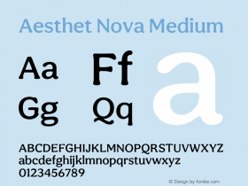 Aesthet Nova Medium Version 001.000 January 2020图片样张