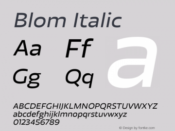 Blom Italic Version 001.000 January 2020图片样张