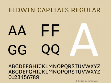 Eldwin Capitals Regular Version 1.001;PS 001.001;hotconv 1.0.88;makeotf.lib2.5.64775图片样张