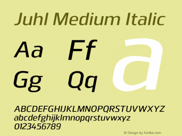 Juhl-MediumItalic Version 1.002;PS 001.002;hotconv 1.0.88;makeotf.lib2.5.64775图片样张