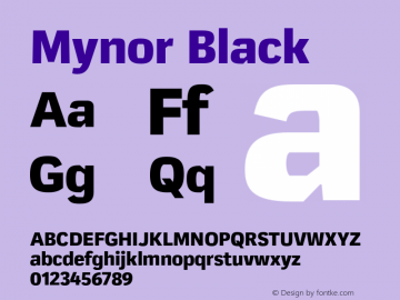 Mynor Black Version 001.000 January 2019图片样张