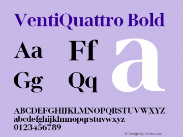 VentiQuattro Bold Version 1.002图片样张