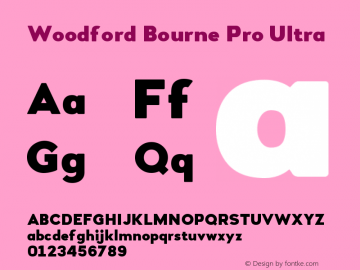 WoodfordBournePro-Ultra Version 2.000;PS 002.000;hotconv 1.0.88;makeotf.lib2.5.64775;com.myfonts.easy.paulo-goode.woodford-bourne-pro.ultra.wfkit2.version.4BjE图片样张