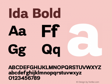 Ida-Bold Version 1.001图片样张