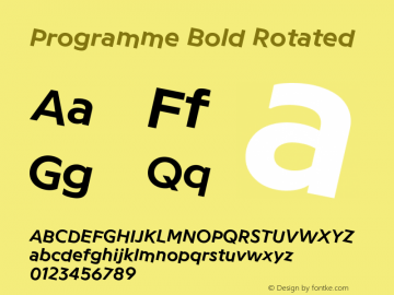 Programme-BoldRot Version 1.000图片样张
