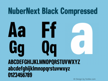 NuberNext Black Compressed Version 001.002 February 2020图片样张