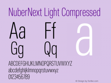 NuberNext Light Compressed Version 001.002 February 2020图片样张