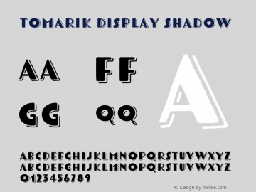 Tomarik Display Shadow Version 1.000;PS 001.000;hotconv 1.0.88;makeotf.lib2.5.64775图片样张