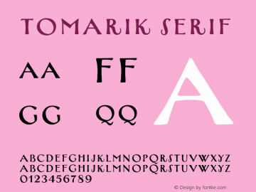 Tomarik Serif Version 1.000;PS 001.000;hotconv 1.0.88;makeotf.lib2.5.64775图片样张