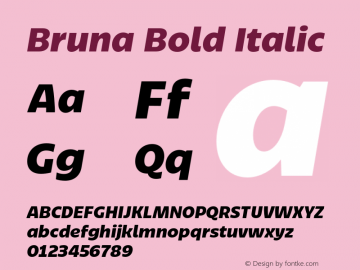 Bruna Bold Italic Version 1.004;hotconv 1.0.109;makeotfexe 2.5.65596图片样张