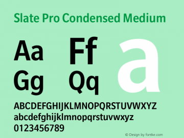 Slate Pro Condensed Medium Version 1.01, build 10, s3图片样张
