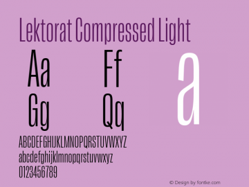 Lektorat Compressed Light Version 1.001;hotconv 1.0.116;makeotfexe 2.5.65601图片样张