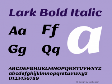 Lark Bold Italic 1.000图片样张