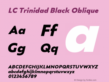 LC Trinidad Black Oblique 1.000图片样张