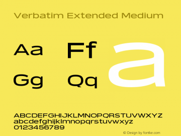 Verbatim Extended Medium 1.000图片样张
