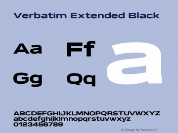 Verbatim Extended Black 1.000图片样张