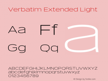 Verbatim Extended Light 1.000图片样张