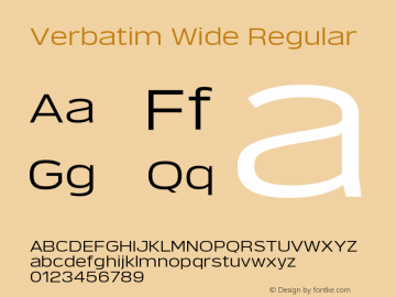 Verbatim Wide 1.000图片样张