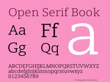 Open Serif Book 1.000图片样张