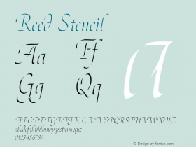 Reed Stencil 1.000W图片样张