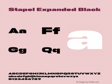 Stapel Expanded Black 1.000图片样张