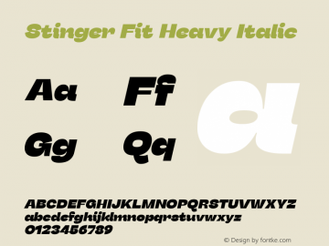 Stinger Fit Heavy Italic 1.006图片样张
