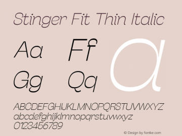 Stinger Fit Thin Italic 1.006图片样张