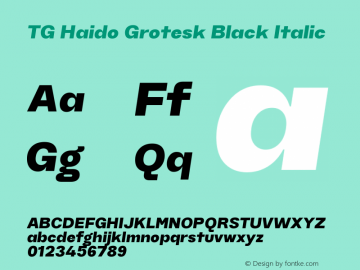 TG Haido Grotesk Black Italic 1.000图片样张