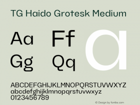 TG Haido Grotesk Medium 1.000图片样张