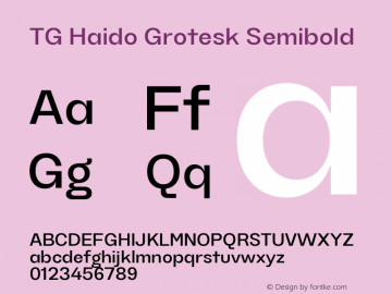 TG Haido Grotesk Semibold 1.000图片样张