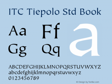 TiepoloStd-Book Version 2.031;PS 002.000;hotconv 1.0.50;makeotf.lib2.0.16970图片样张